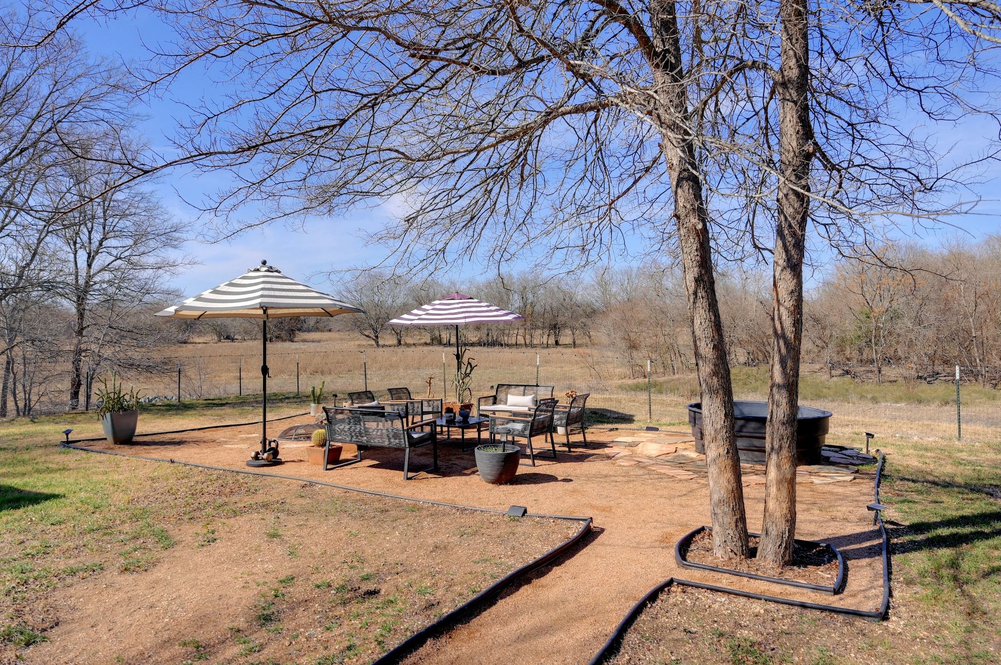 739 Pear Street Lockhart, TX 78644 - Photo 26 of 40 Let’s hang out and see if we can spot a roadrunner.