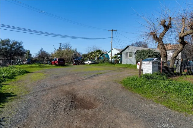 a view of a backyard with plants and large trees