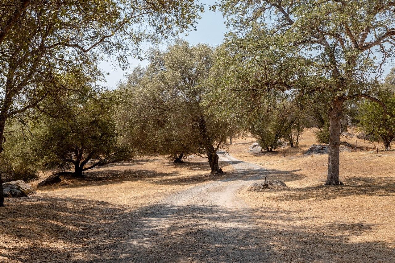 28486 Margaret Road Coarsegold, CA 93614 - Photo 58 of 61 Gallery Image 58