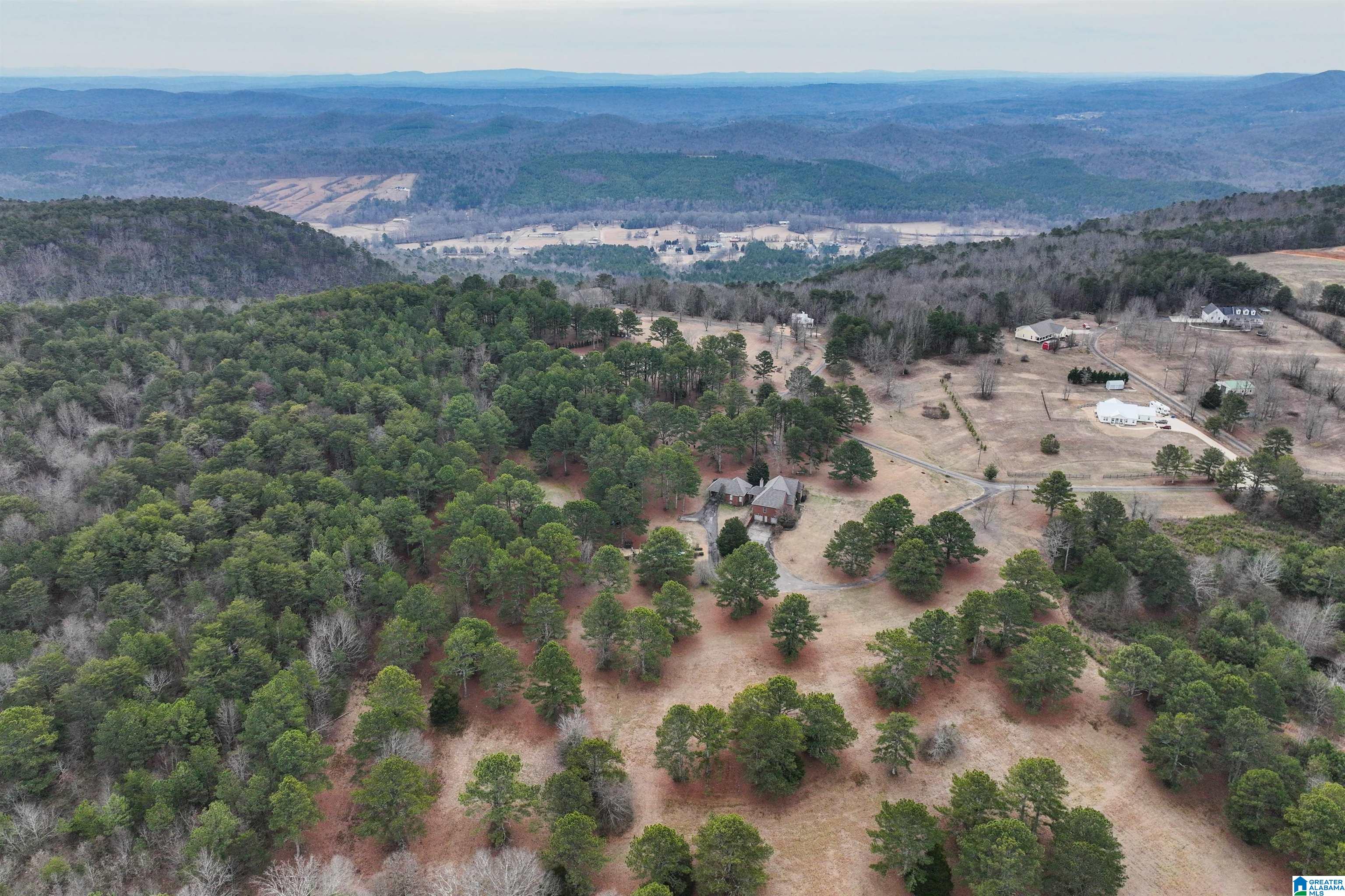 275 Timber Ridge Drive Springville, AL 35146 - Photo 80 of 80