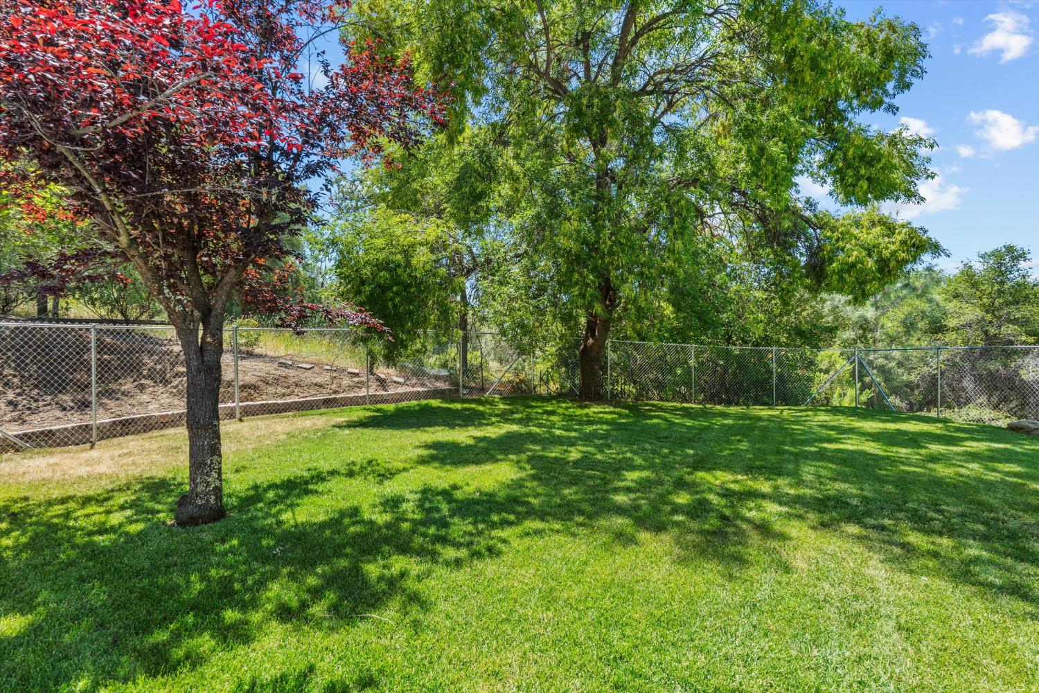 1244 Cold Springs Road Placerville, CA 95667 - Photo 26 of 36