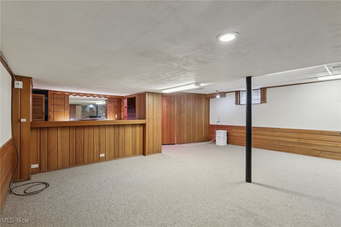 33300 South Woodland Road Cleveland, OH 44124 - Photo 39 of 50 Below grade area featuring wood walls, light carpet, a wainscoted wall, and a textured ceiling