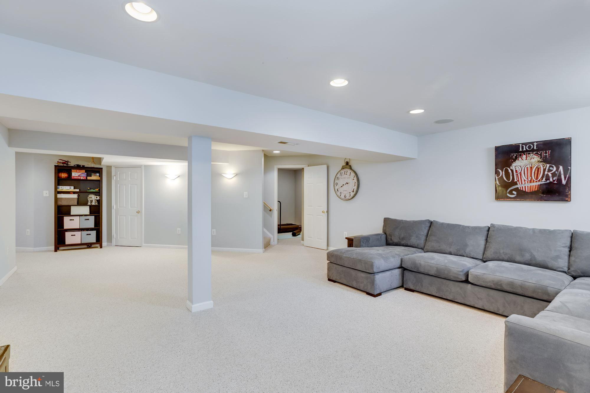 47758 Blockhouse Point Place Sterling, VA 20165 - Photo 27 of 34 Lower level recreation area