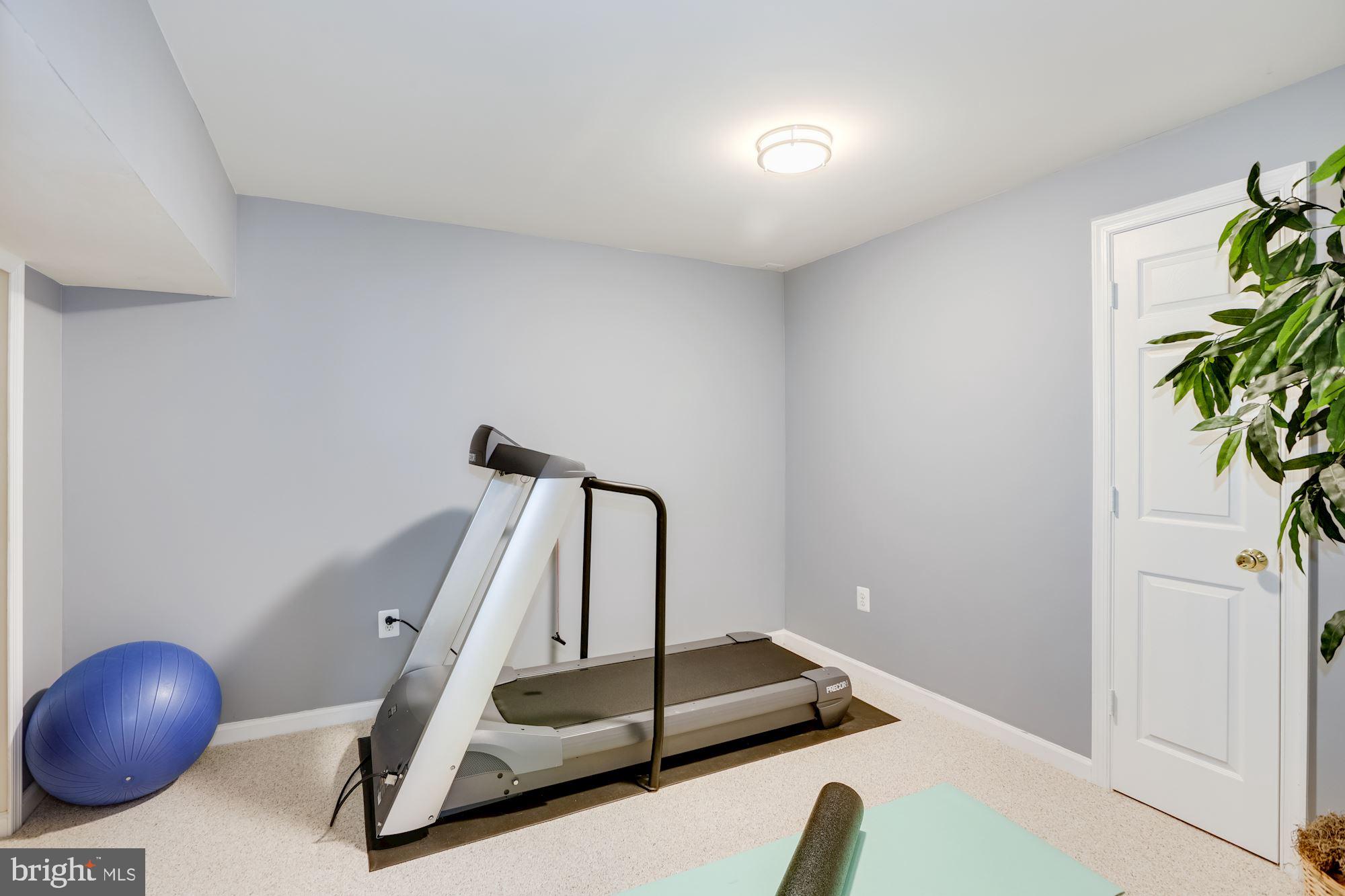 47758 Blockhouse Point Place Sterling, VA 20165 - Photo 30 of 34 Lower level exercise room/den