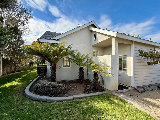 a view of a backyard with a tree