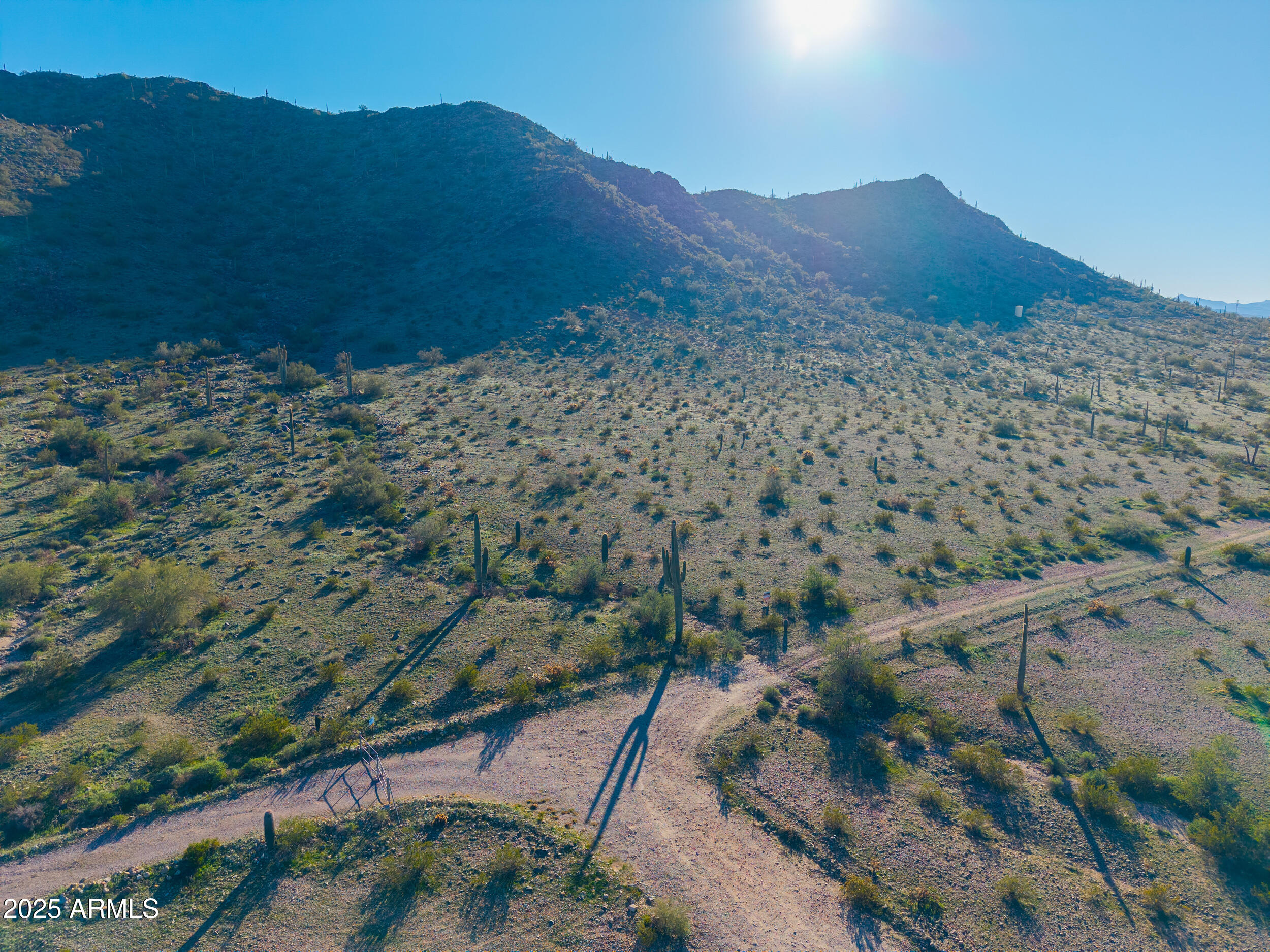 a view of a mountain with a forest