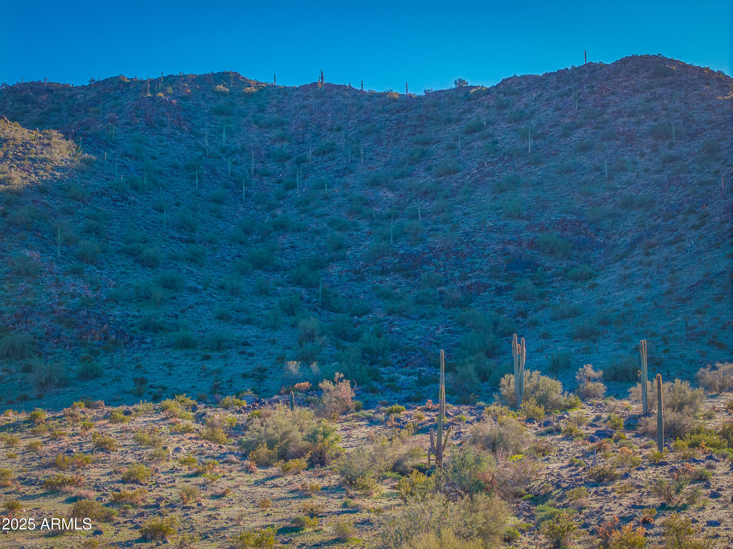 0 West Lantern Road Maricopa, AZ 85139 - Photo 19 of 21 a view of a backyard with a tree