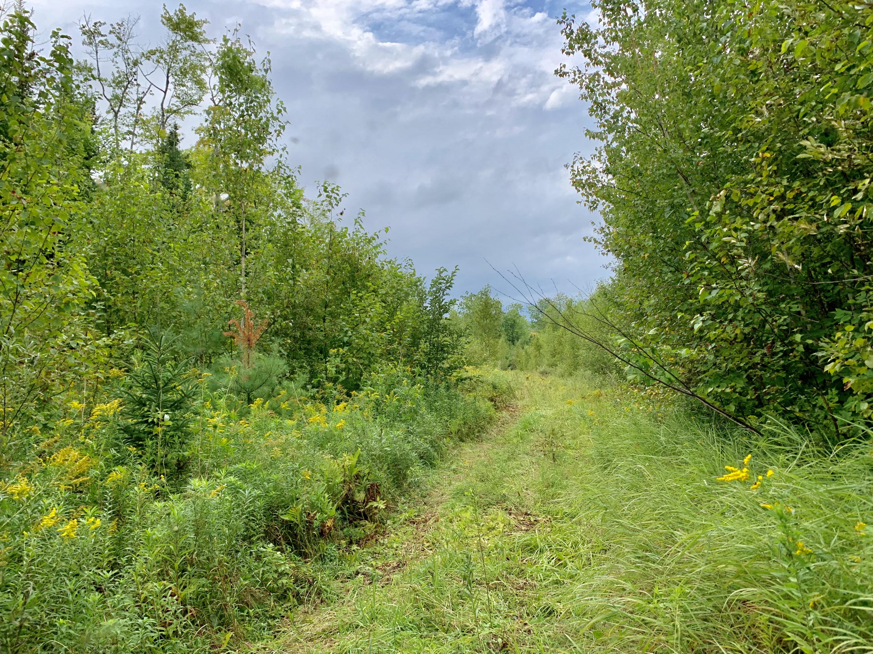 0 Merryman Road Glenburn, ME 04401 - Photo 27 of 53 86D55C5D-5327-4085-9F43-69D210FD4E2B