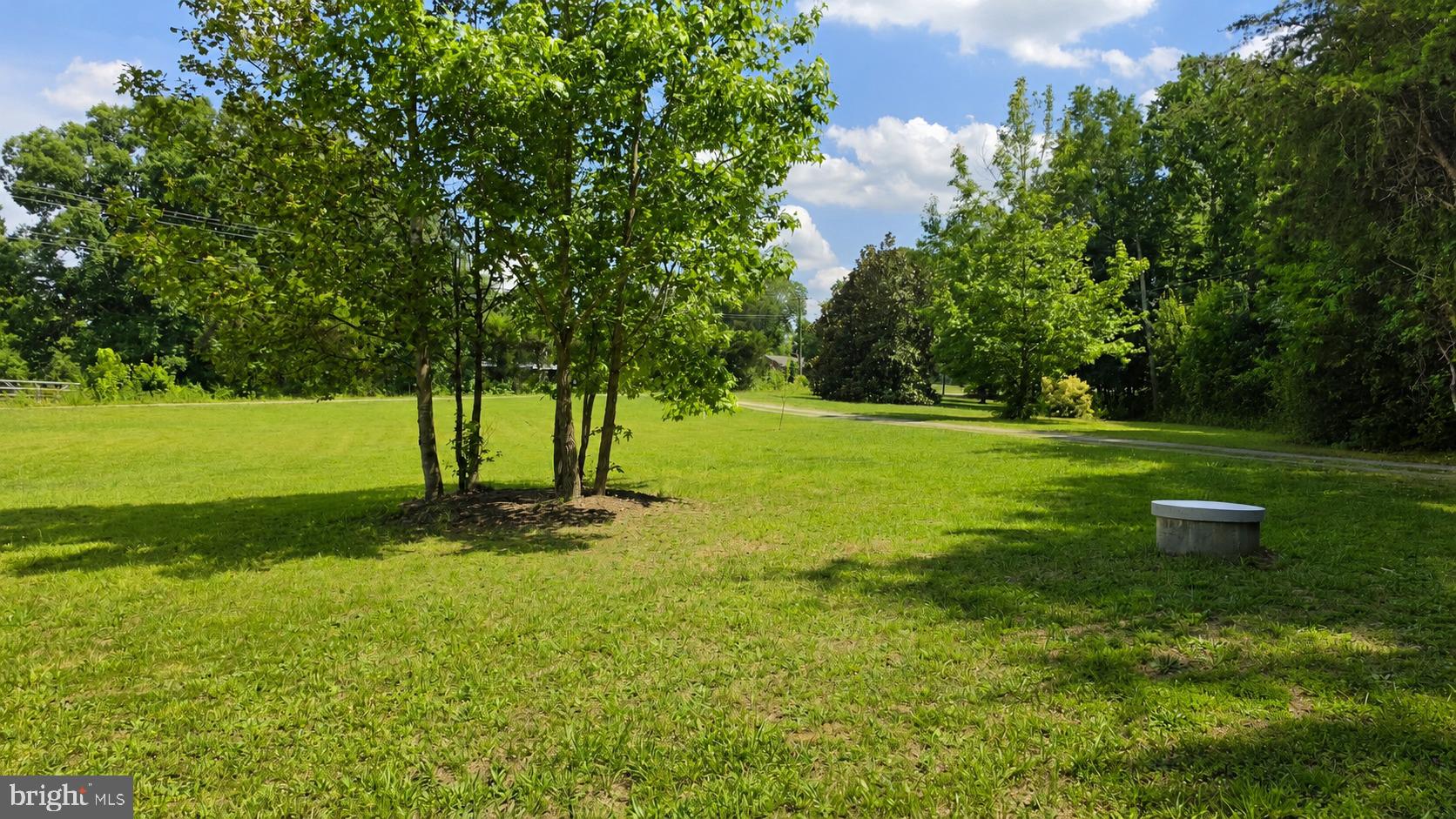 2208 Cartersville Road Mineral, VA 23117 - Photo 42 of 44 Lush green space under blue skies.