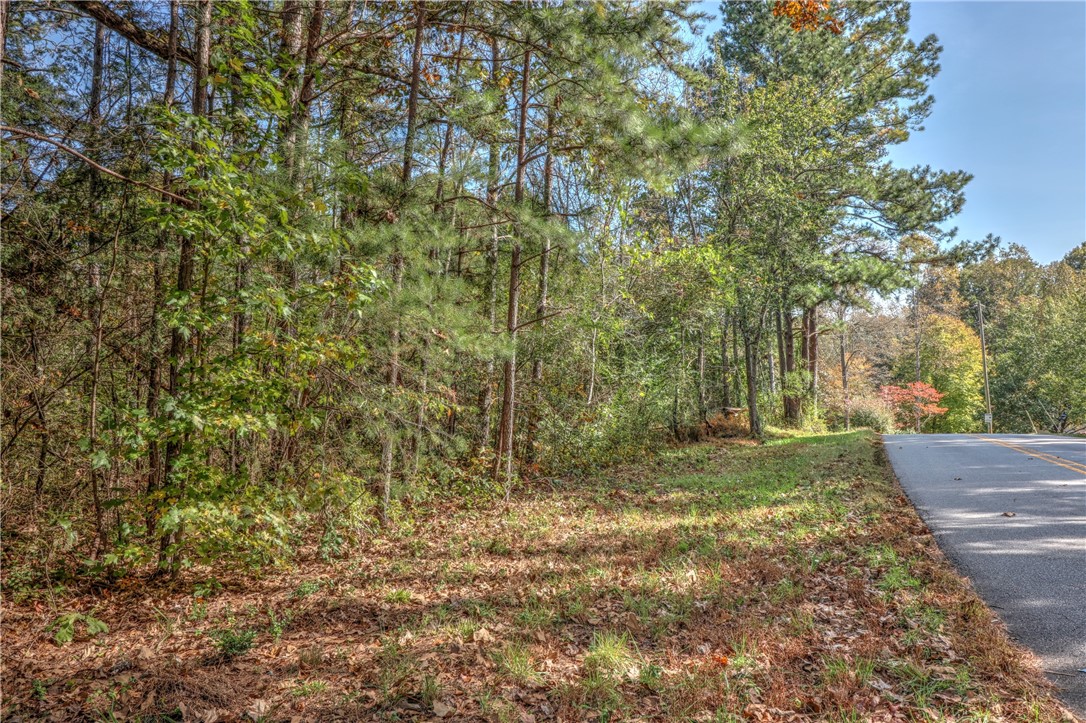 Lot 1 Crystal Falls Road West Union, SC 29696 - Photo 1 of 12 Gallery Image 1