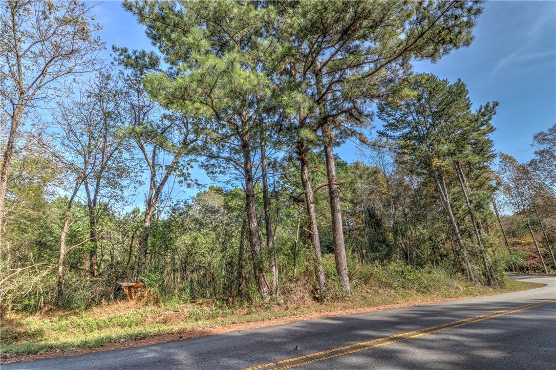 Lot 1 Crystal Falls Road West Union, SC 29696 - Photo 3 of 12 Gallery Image 3
