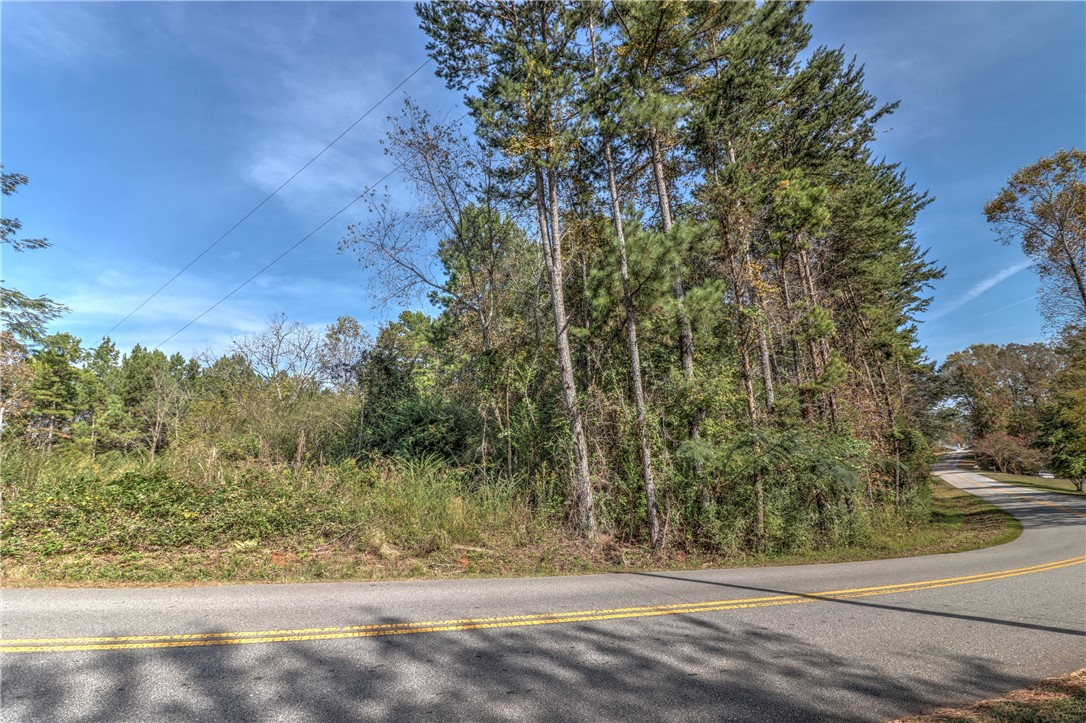 Lot 1 Crystal Falls Road West Union, SC 29696 - Photo 5 of 12 Gallery Image 5