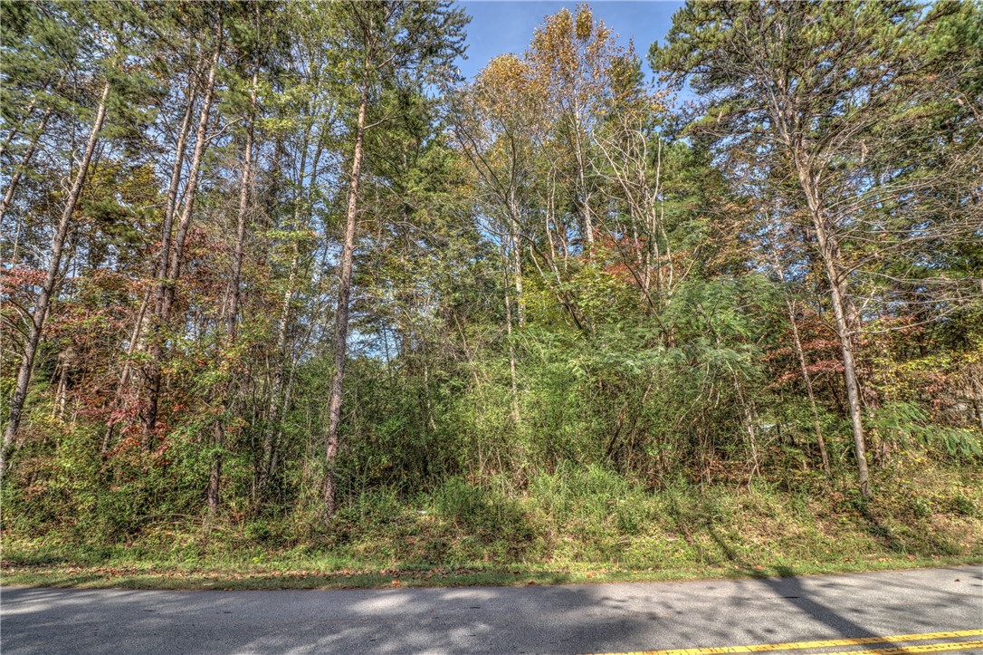 Lot 1 Crystal Falls Road West Union, SC 29696 - Photo 6 of 12 Gallery Image 6