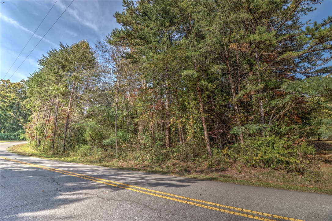 Lot 1 Crystal Falls Road West Union, SC 29696 - Photo 7 of 12 Gallery Image 7