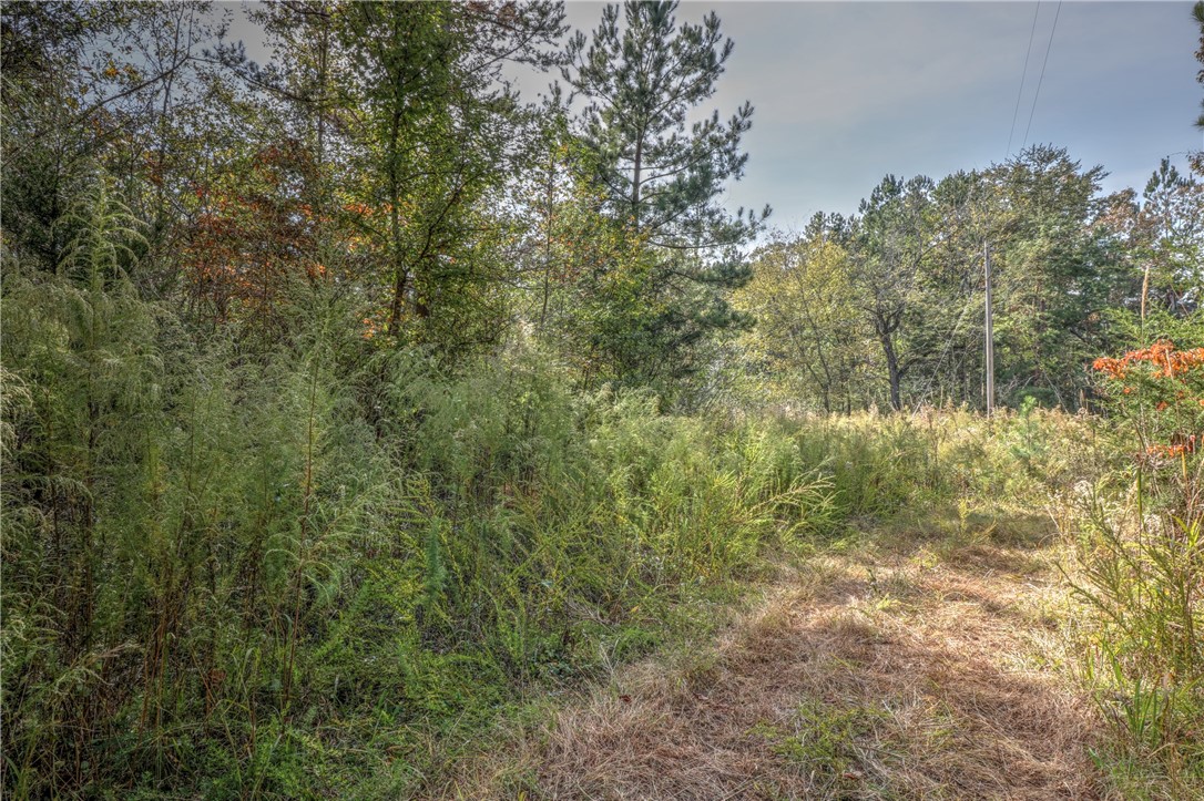 Lot 1 Crystal Falls Road West Union, SC 29696 - Photo 8 of 12 Gallery Image 8