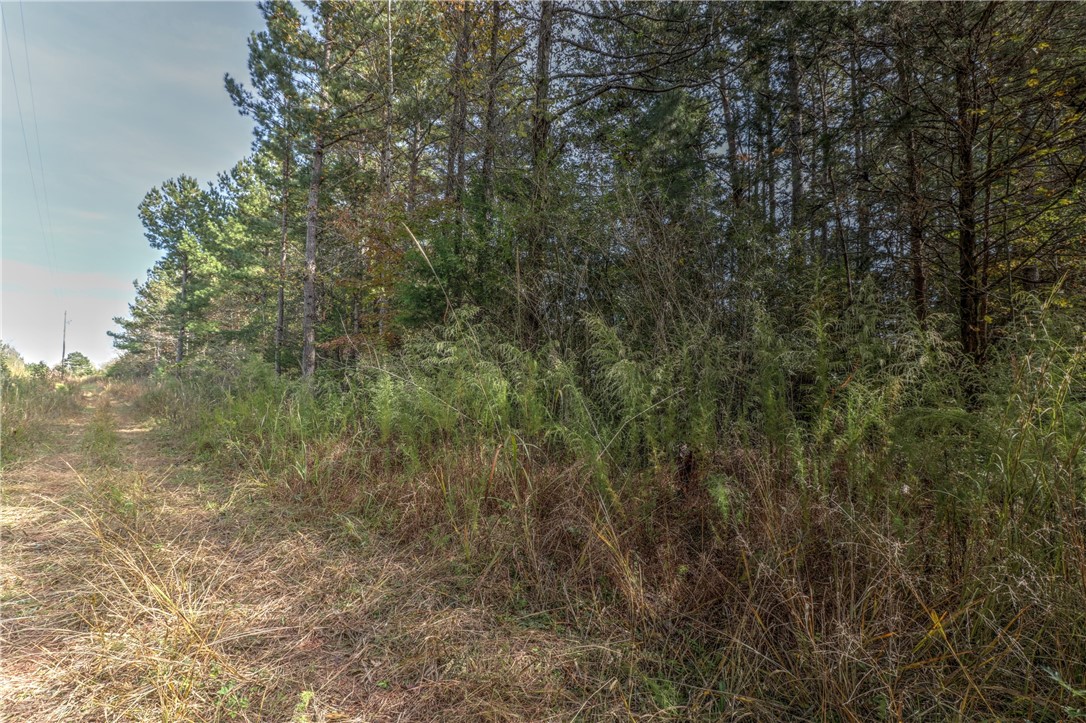 Lot 1 Crystal Falls Road West Union, SC 29696 - Photo 9 of 12 Gallery Image 9