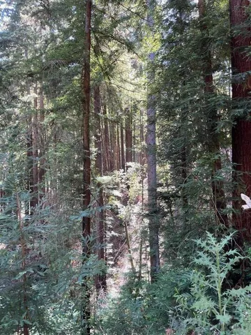 a view of outdoor space and a yard