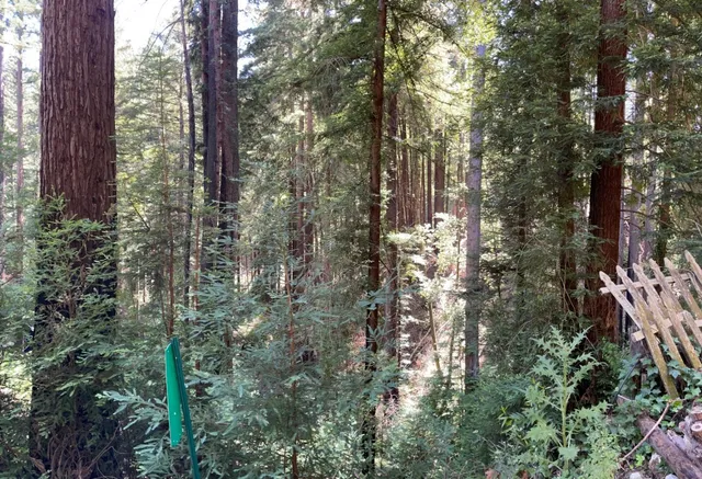 a view of swimming pool