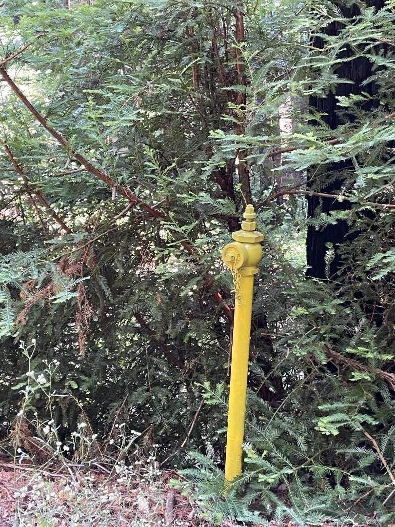 506 Sunset Road Boulder Creek, CA 95006 - Photo 18 of 25