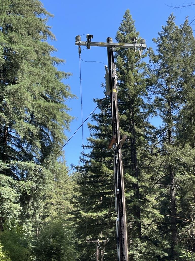 506 Sunset Road Boulder Creek, CA 95006 - Photo 19 of 25 a close up of a tree in front of a house