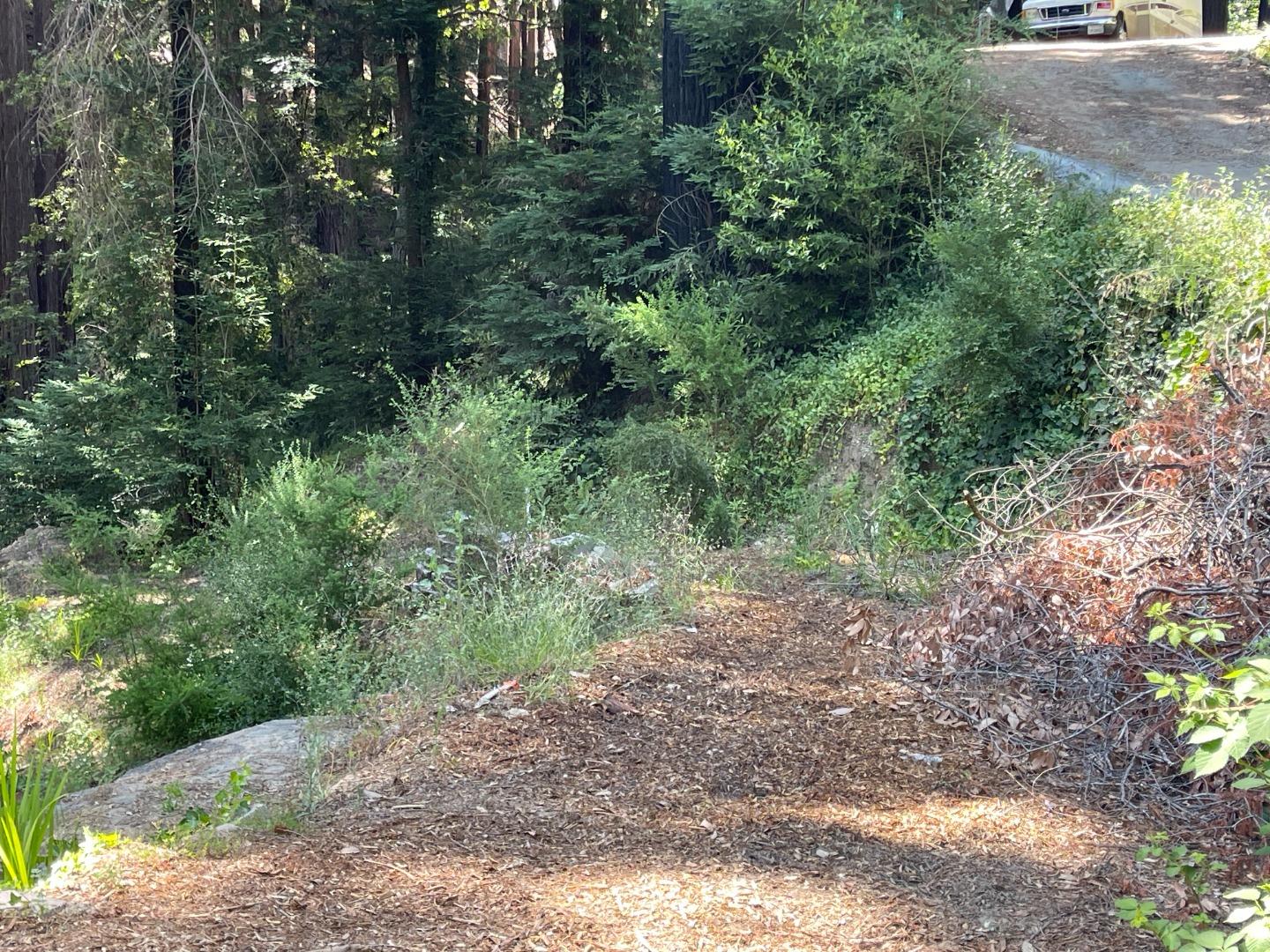 506 Sunset Road Boulder Creek, CA 95006 - Photo 3 of 25 a view of a yard with a tree