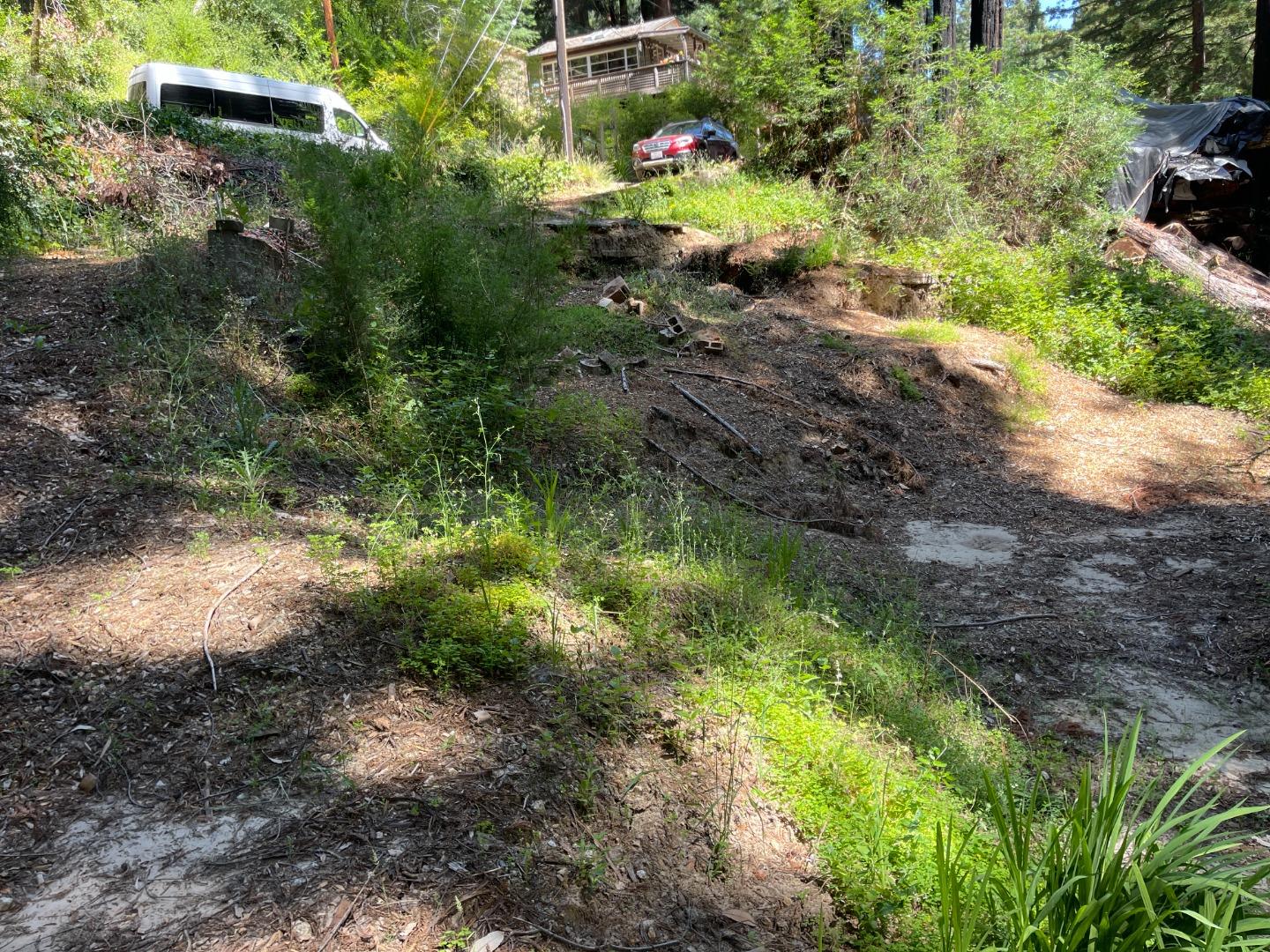 506 Sunset Road Boulder Creek, CA 95006 - Photo 4 of 25 a view of a garden with plants