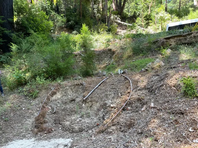 a backyard of a house with lots of green space