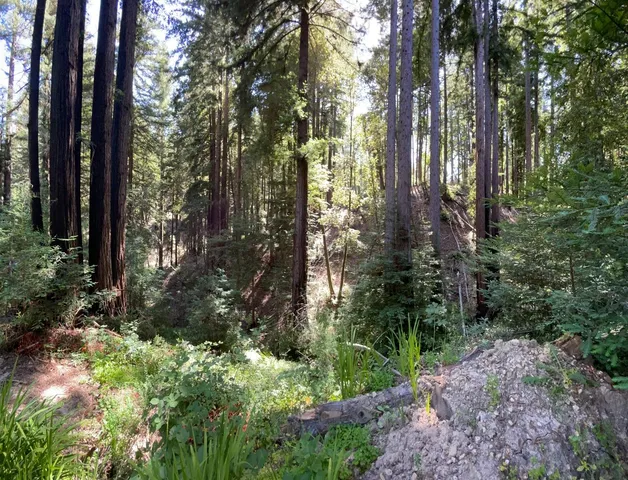 a view of backyard with green space