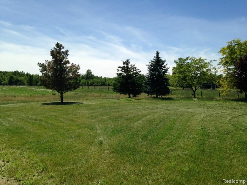 4138 Wellman Line Road Jeddo, MI 48032 - Photo 10 of 26 IMG_5009.jpg