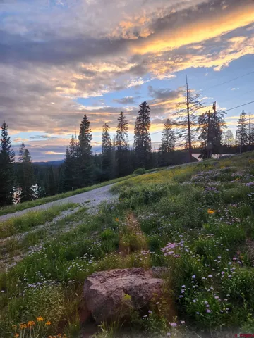 a view of a yard with a house