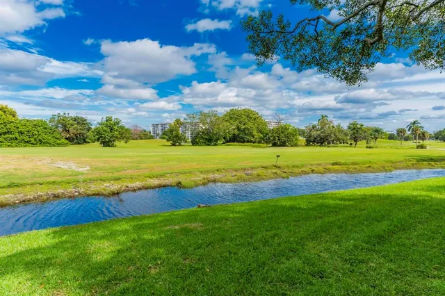 a view of a house with a yard and potted plants
