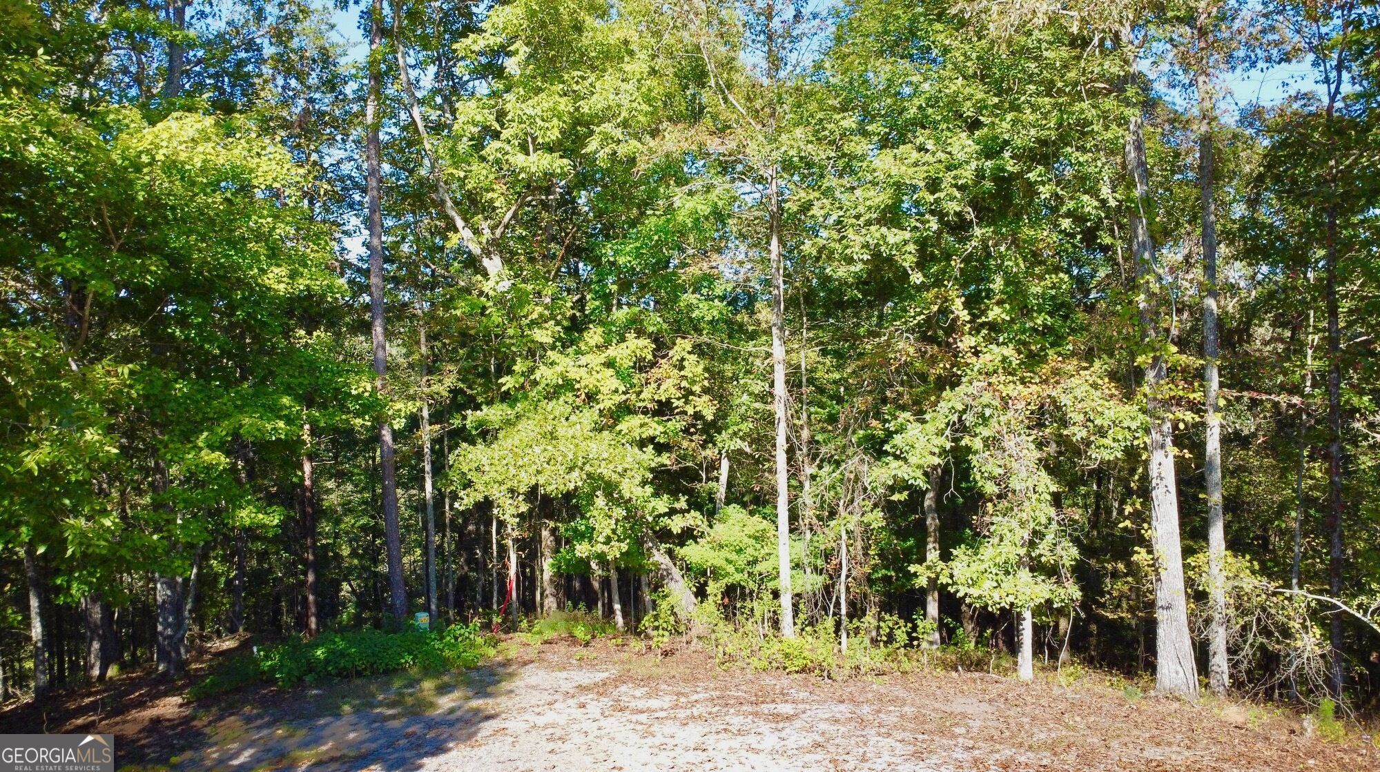 0 Rebekah Ridge Road Talking Rock, GA 30175 - Photo 3 of 34 Gallery Image 3