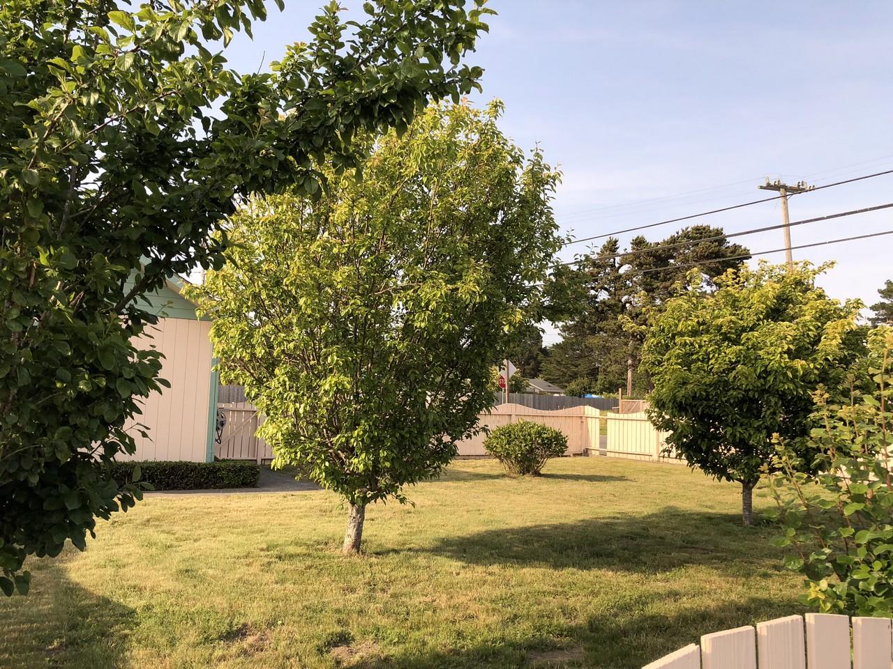 916 School Road McKinleyville, CA 95519 - Photo 24 of 33