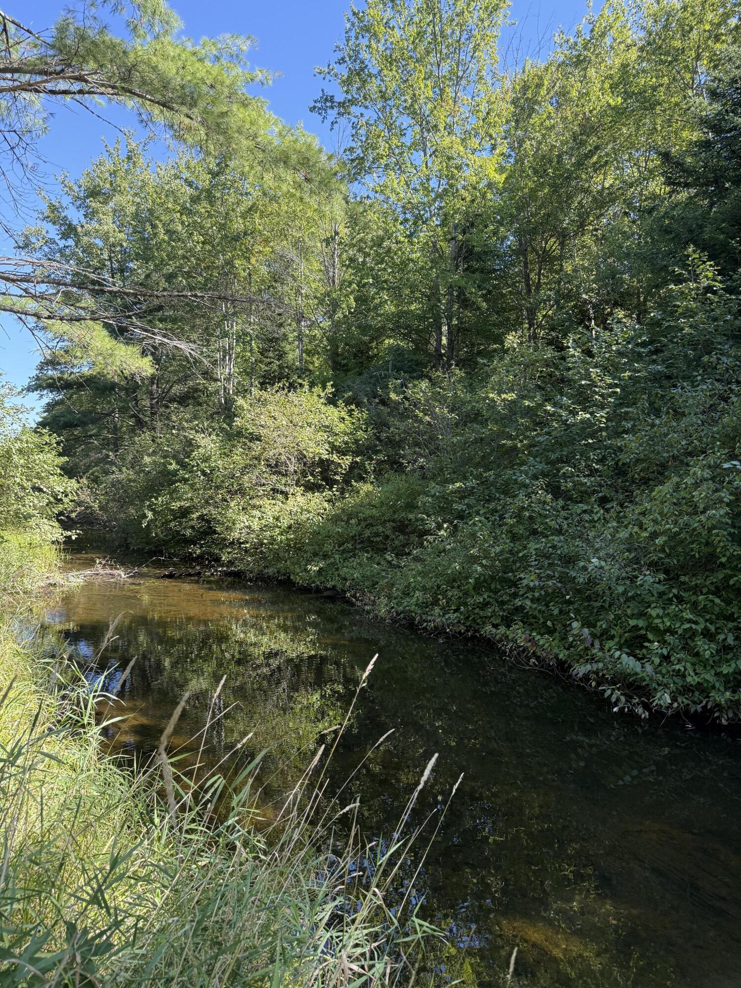 672 Lower Dedham Road Dedham, ME 04429 - Photo 28 of 30 IMG_4296