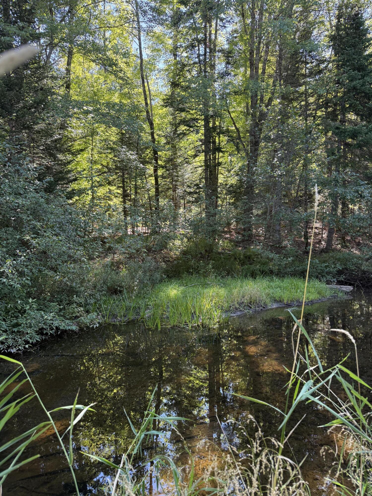 672 Lower Dedham Road Dedham, ME 04429 - Photo 29 of 30 IMG_4297