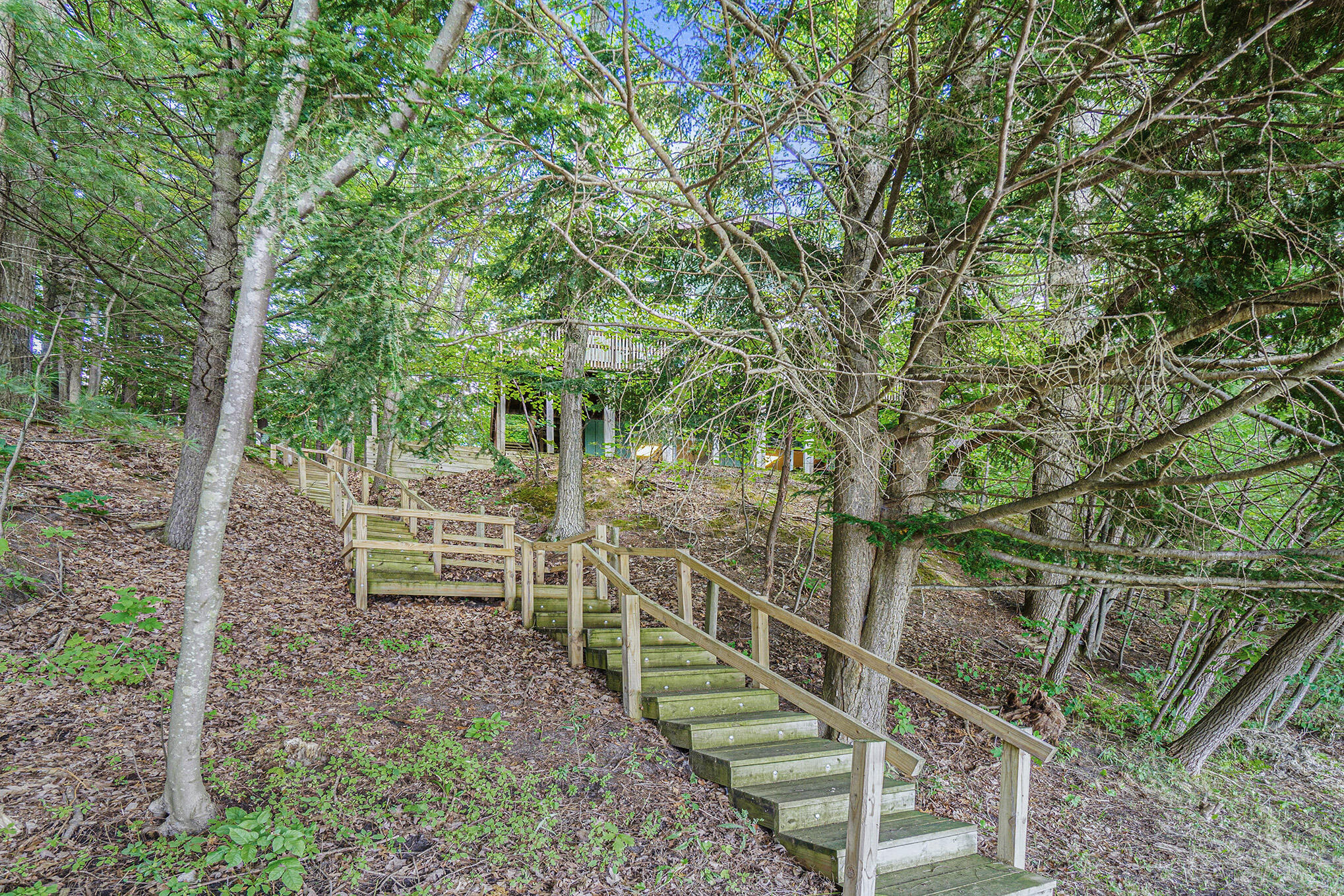 6331 North Larson Road Fountain, MI 49410 - Photo 41 of 54 A6404851