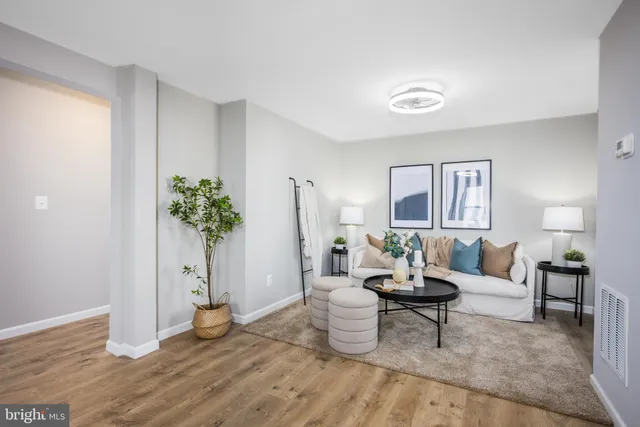 a living room with furniture and a potted plant