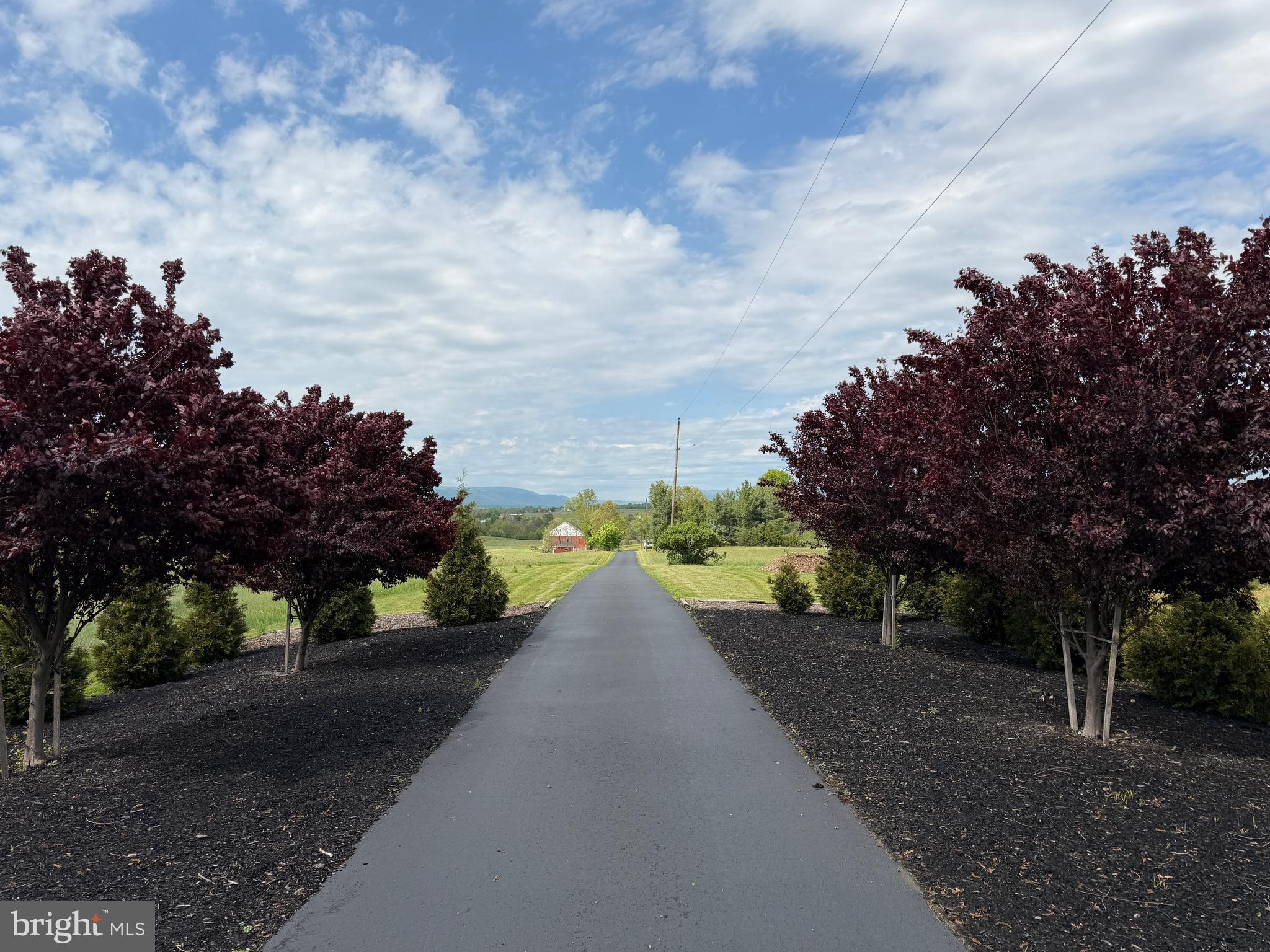 12591 Shimpstown Road Mercersburg, PA 17236 - Photo 26 of 147