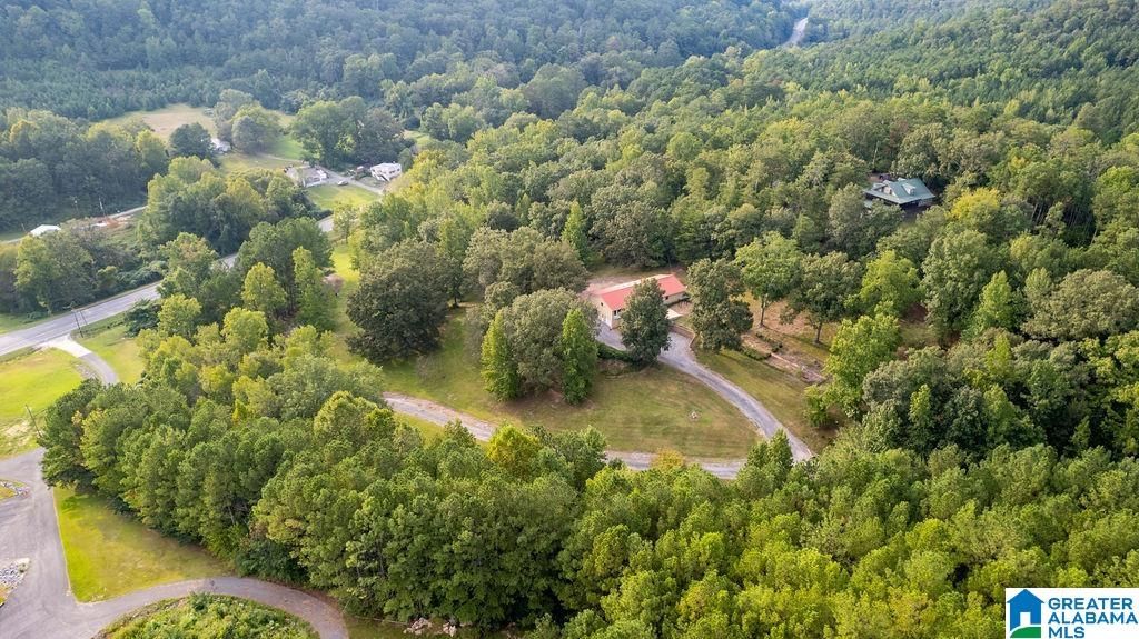 56230 North Highway 231 Oneonta, AL 35121 - Photo 3 of 62