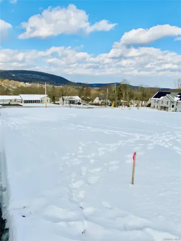 $99,500 | Smith Terrace Tbd Smith, Lloyd, NY 12528