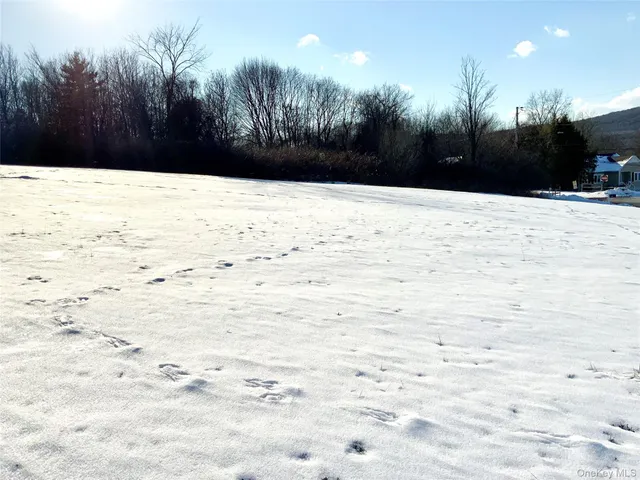 $99,500 | Smith Terrace Tbd Smith, Lloyd, NY 12528