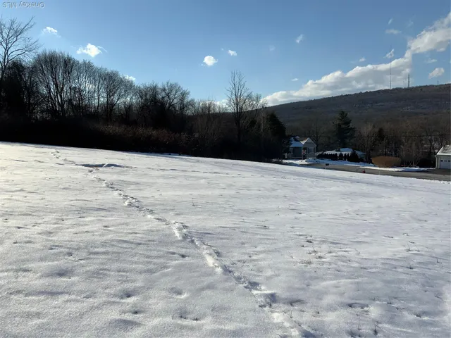 $99,500 | Smith Terrace Tbd Smith, Lloyd, NY 12528