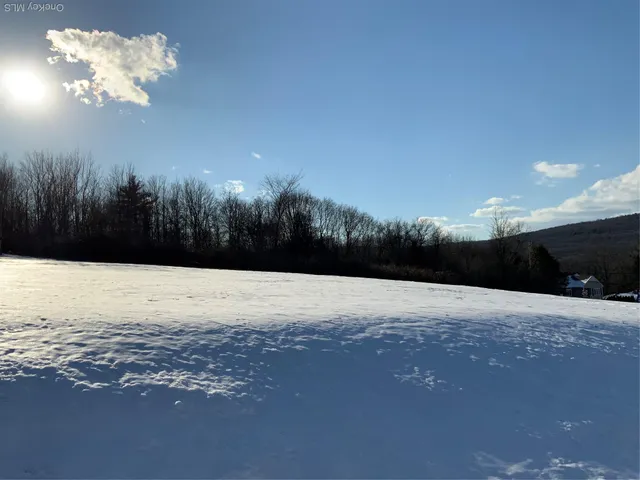 $99,500 | Smith Terrace Tbd Smith, Lloyd, NY 12528