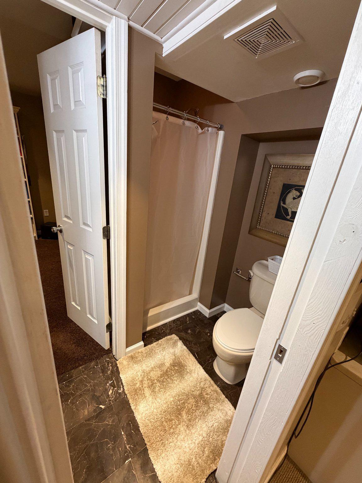 4001 Young Road Manchester, MD 21102 - Photo 43 of 65 Basement full bath.