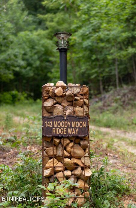 143 Moody Moon Ridge Way Newport, TN 37821 - Photo 11 of 12 Screenshot 2026-03-13 141940
