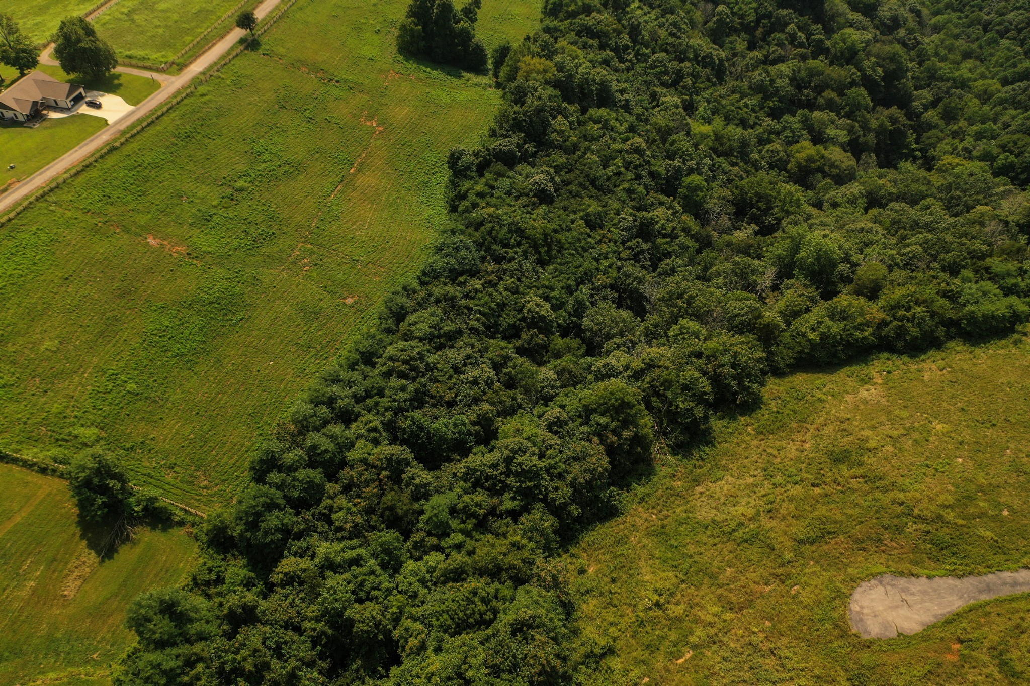 80 B Swan Ridge Celina, TN 38551 - Photo 23 of 23 a view of a lake
