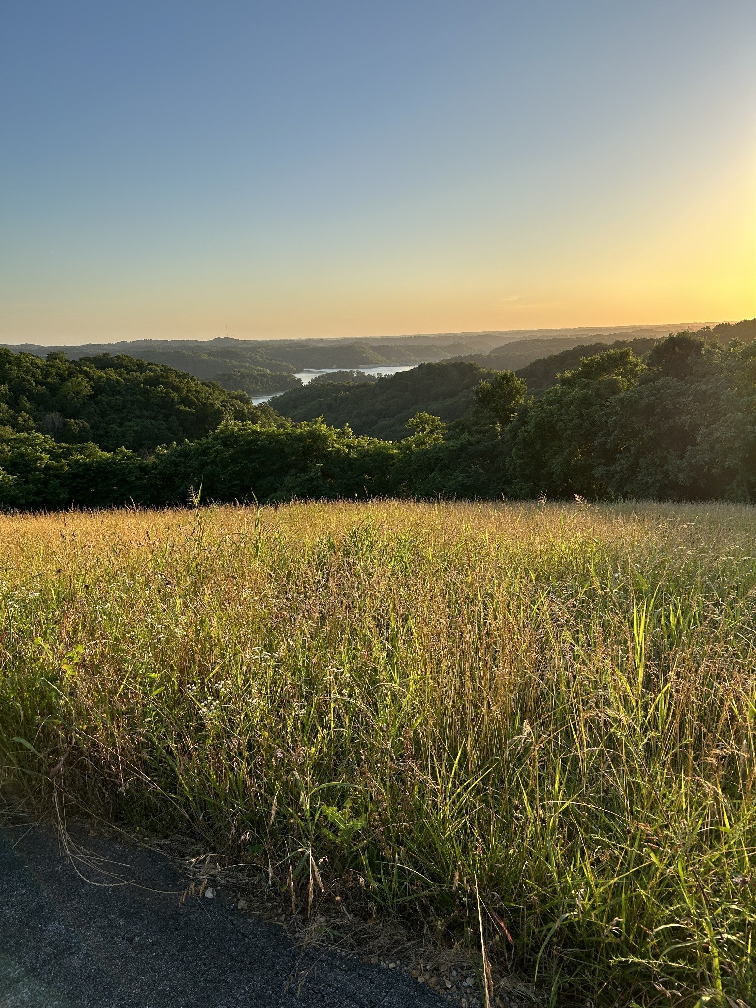 80 B Swan Ridge Celina, TN 38551 - Photo 5 of 23 a view of lake and mountain