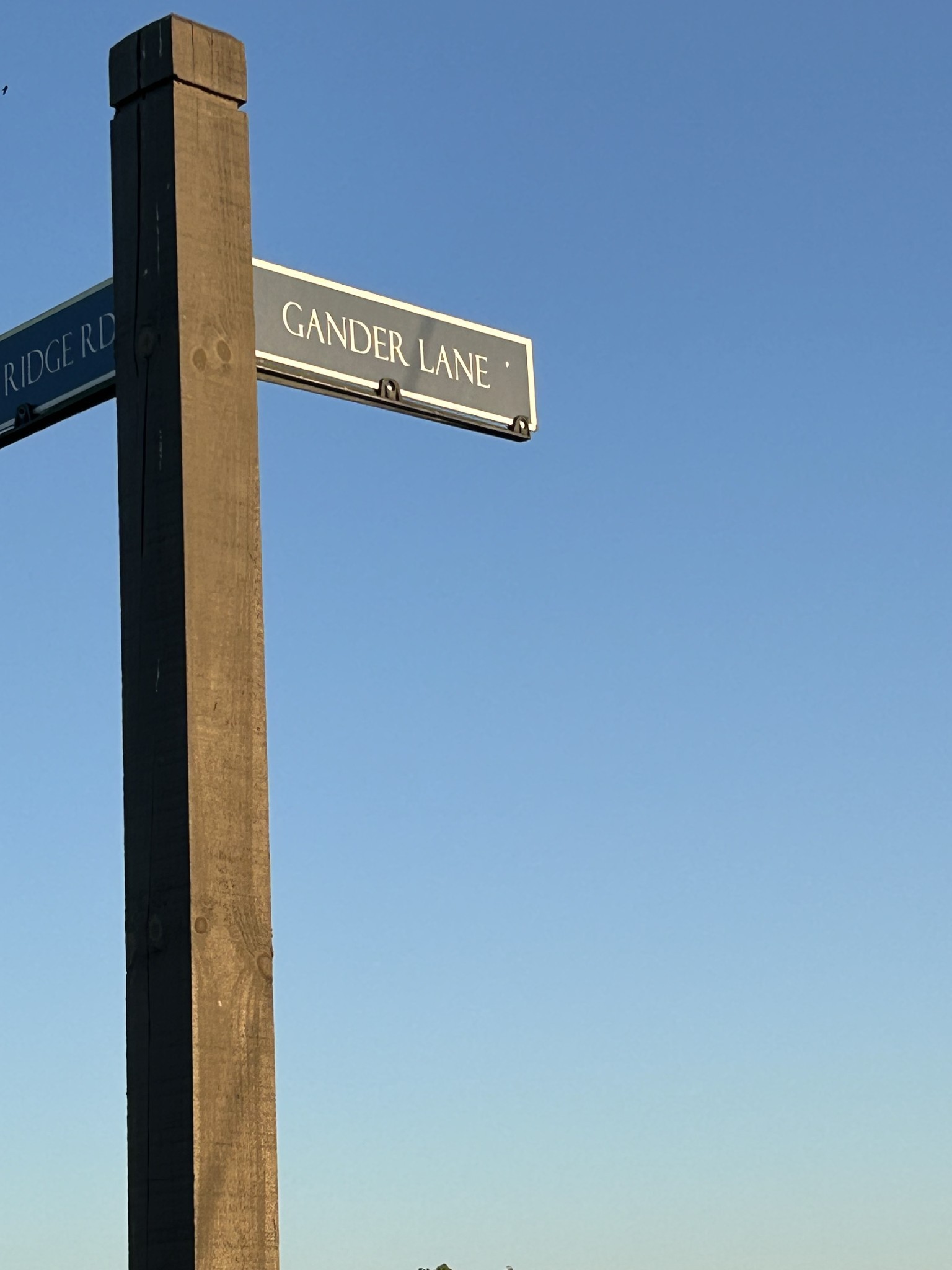 80 B Swan Ridge Celina, TN 38551 - Photo 6 of 23 a close up of a street sign