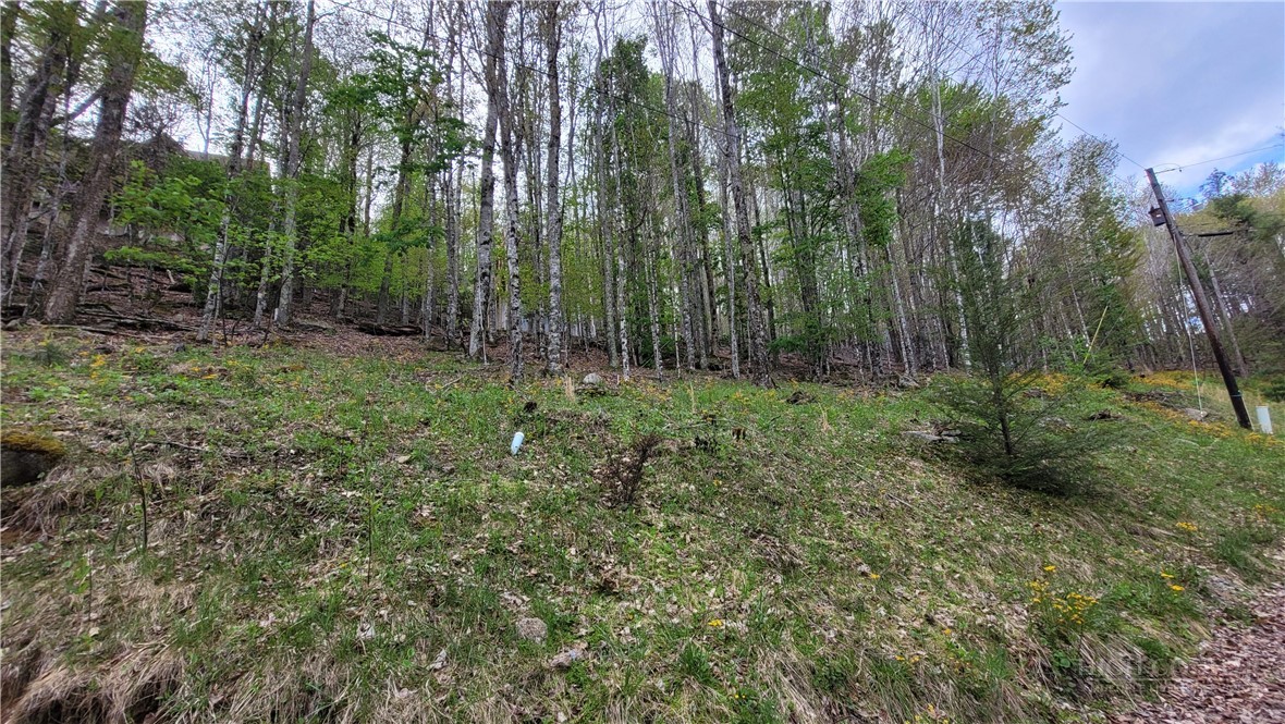 241 Lakeledge Road Beech Mountain, NC 28604 - Photo 21 of 21 a view of outdoor space and green space