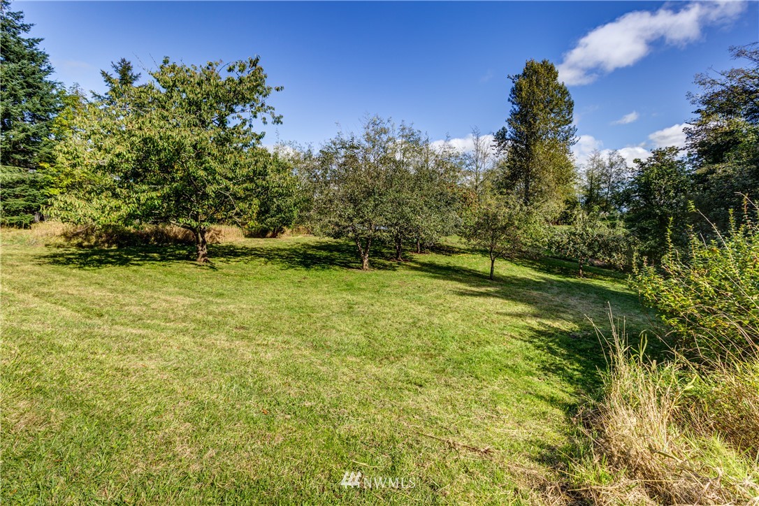 5852 Storr Road Ferndale, WA 98248 - Photo 25 of 25 a view of a green field with lots of bushes